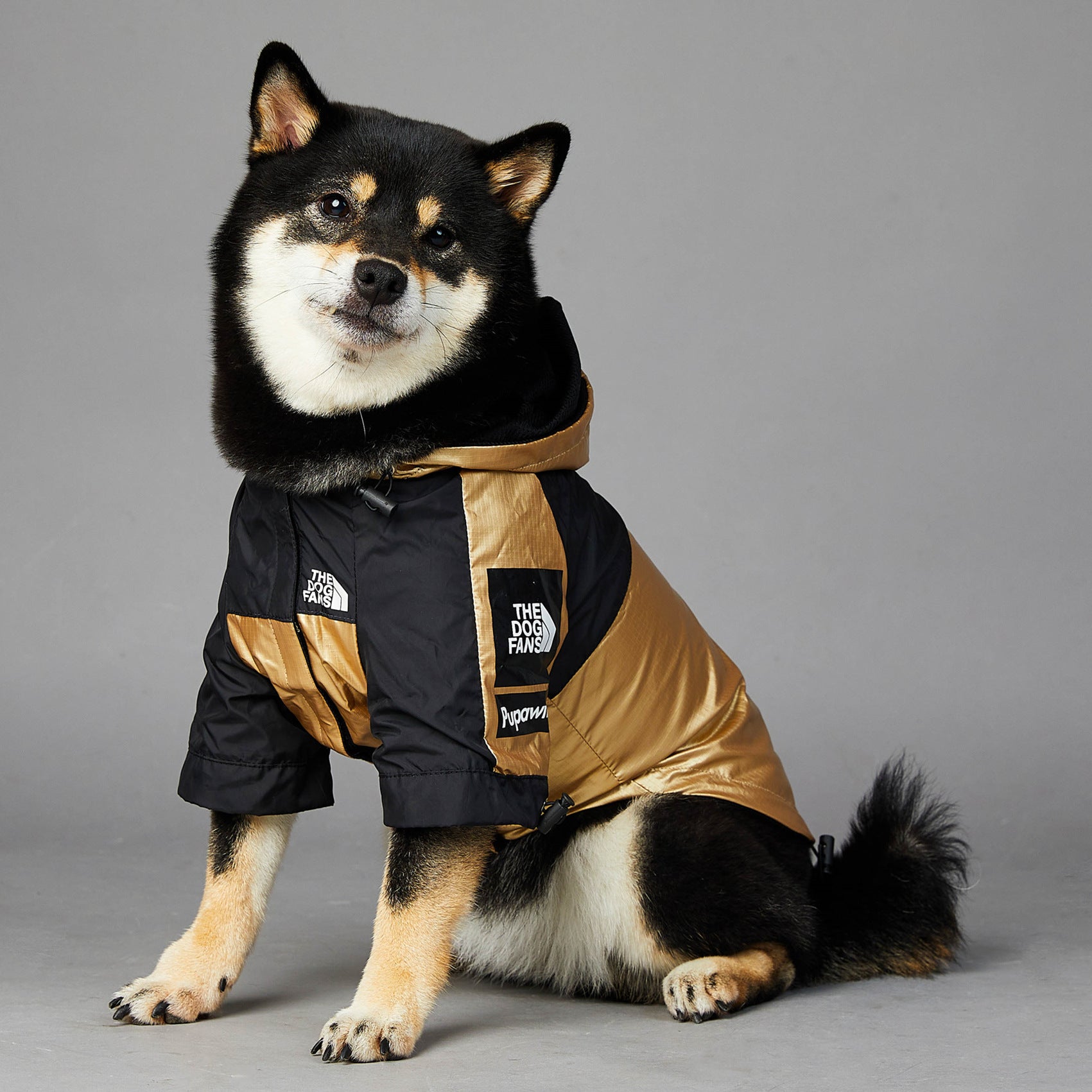 Waterproof Golden Dog Raincoat – Stylish Pet Jacket for Large Dogs (S–5XL) - Elibark Dog Supplies
