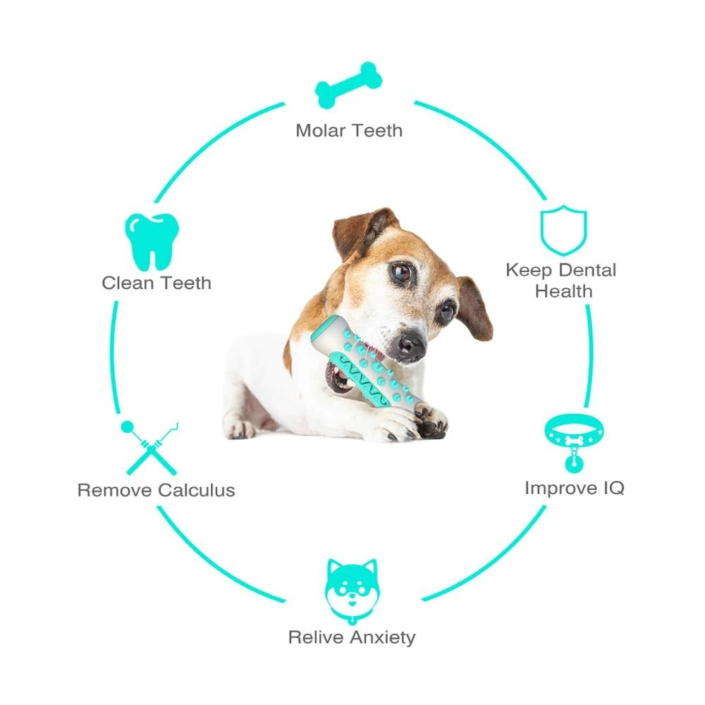 Tough Squeaky Chew Toy for Strong Dogs - Elibark Dog Supplies
